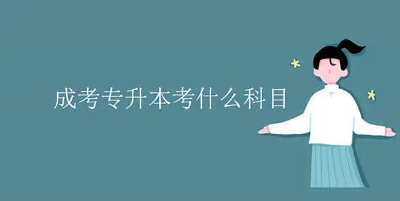 北京西城成人高考考试科目有哪些?